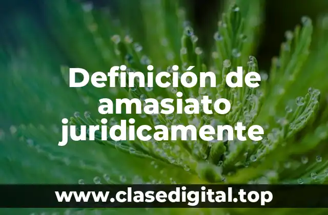 Definición de amasiato juridicamente