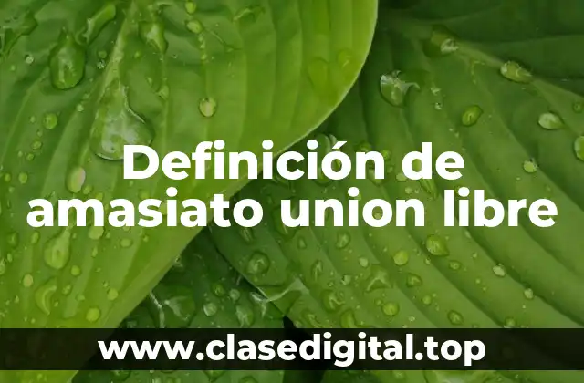 Definición de amasiato union libre