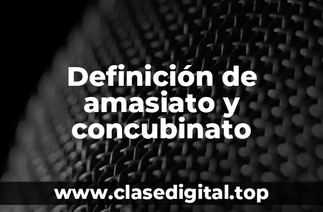 Definición de amasiato y concubinato