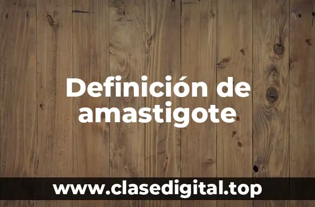 Definición de amastigote