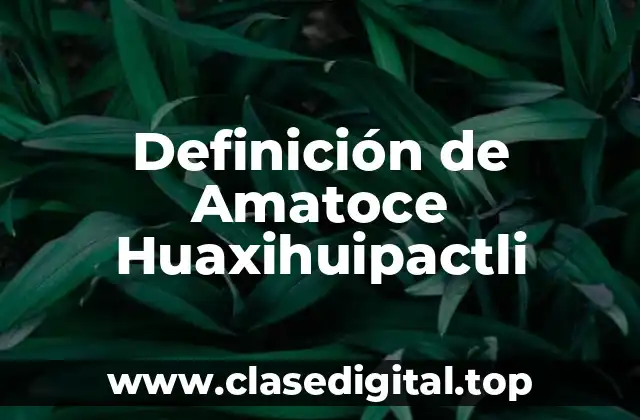 Definición de Amatoce Huaxihuipactli
