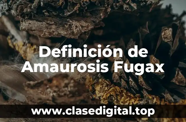 Definición de Amaurosis Fugax