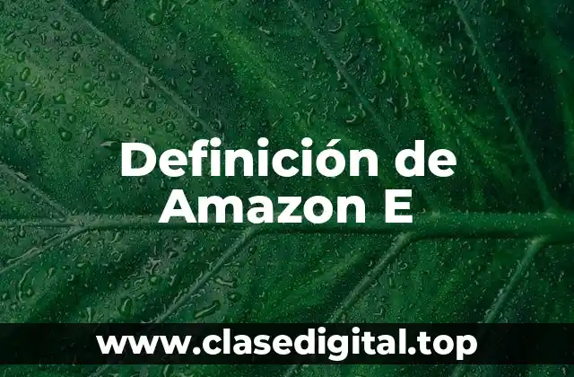 Definición de Amazon E