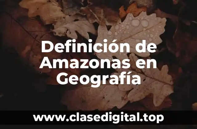 Definición de Amazonas en Geografía