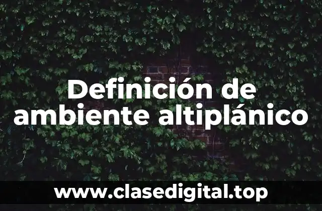 Definición de ambiente altiplánico