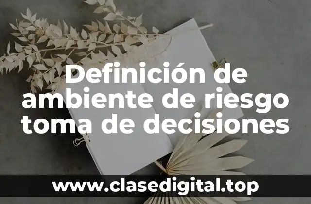 Definición de ambiente de riesgo toma de decisiones