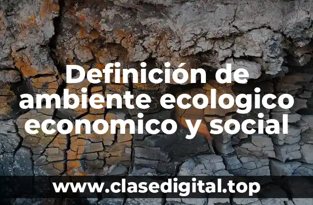 Definición de ambiente ecologico economico y social