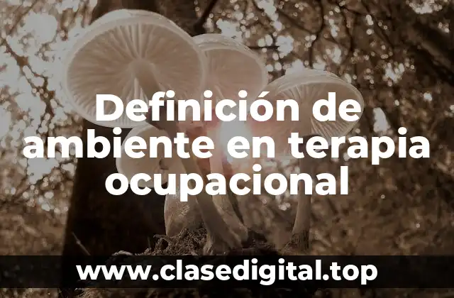 Definición de ambiente en terapia ocupacional