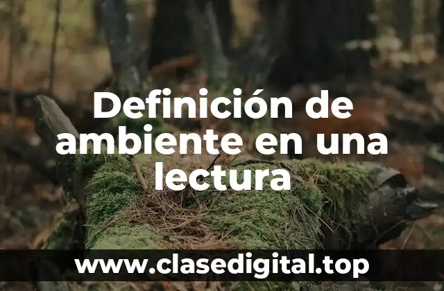 Definición de ambiente en una lectura