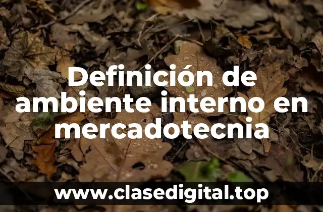 Definición técnica de ambiente interno en mercadotecnia