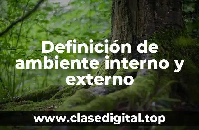 Definición de ambiente interno y externo