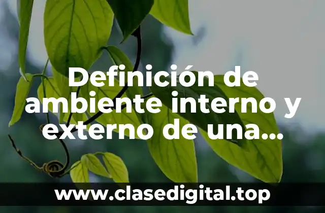 Definición de ambiente interno y externo de una empresa
