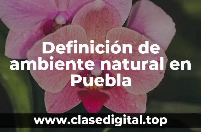 Definición de ambiente natural en Puebla