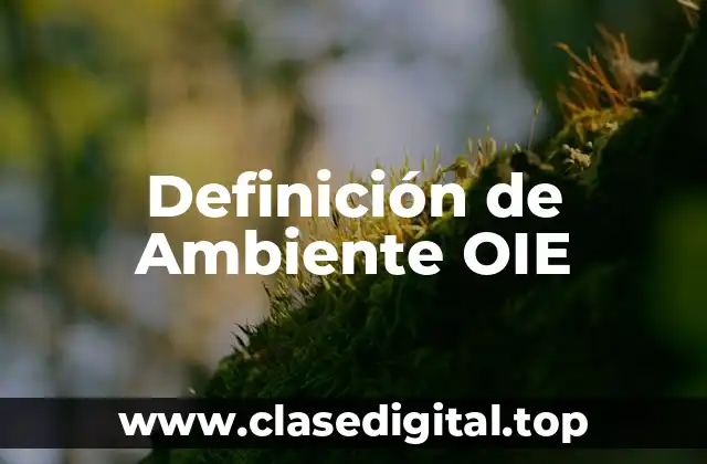 Definición técnica de Ambiente OIE