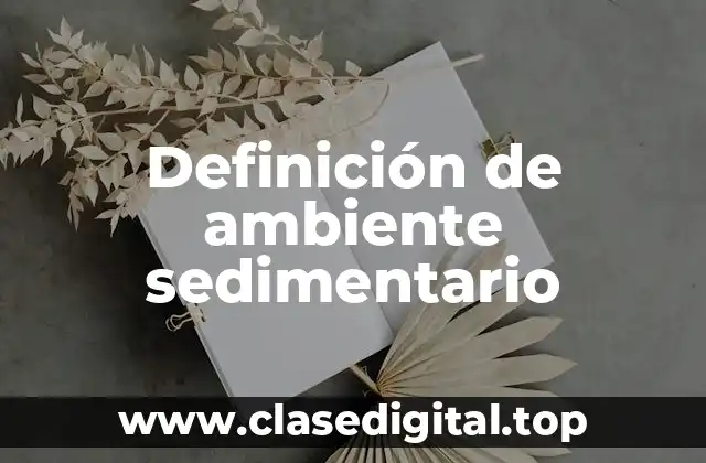 Definición de ambiente sedimentario