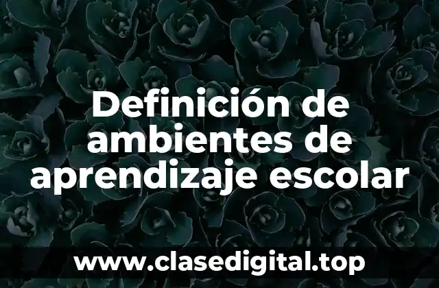 Definición de ambientes de aprendizaje escolar