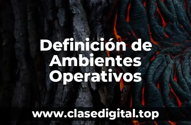 Definición Técnica de Ambiente Operativo