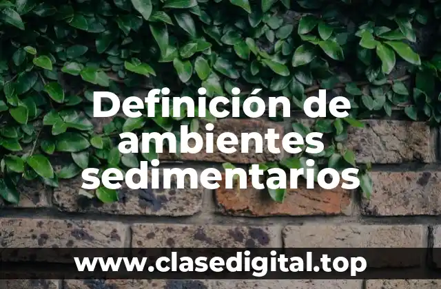 Definición de ambientes sedimentarios