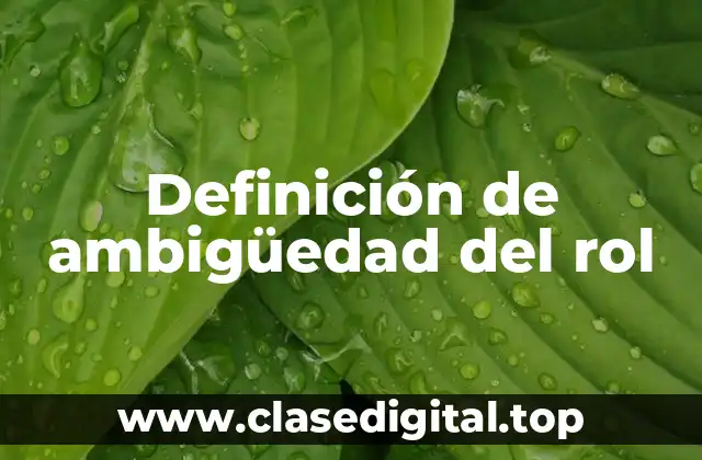 Definición de ambigüedad del rol