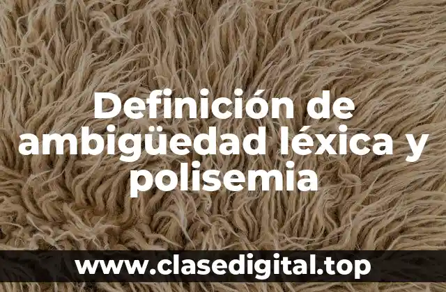 Definición de ambigüedad léxica y polisemia