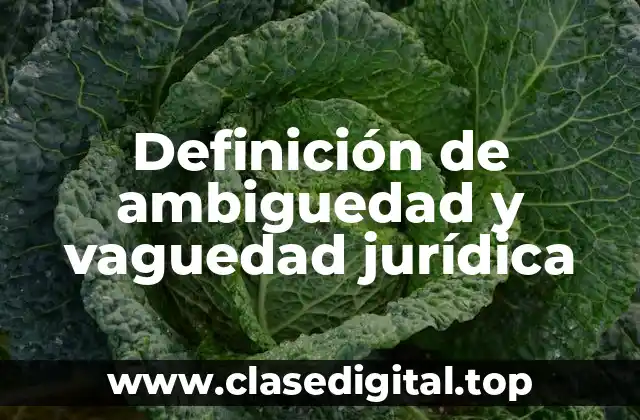 Definición de ambiguedad y vaguedad jurídica