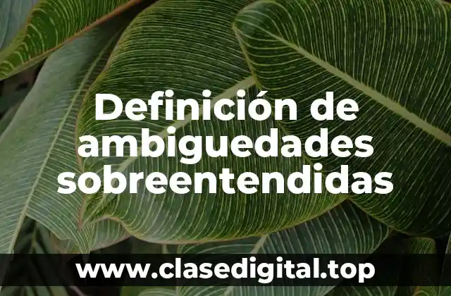 Definición de ambiguedades sobreentendidas