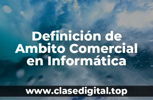 Definición de Ambito Comercial en Informática