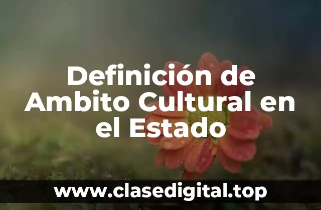 Definición de Ambito Cultural en el Estado