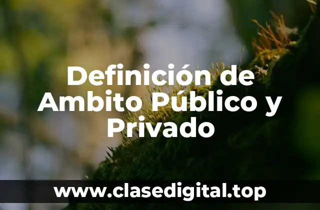 Definición de Ambito Público y Privado