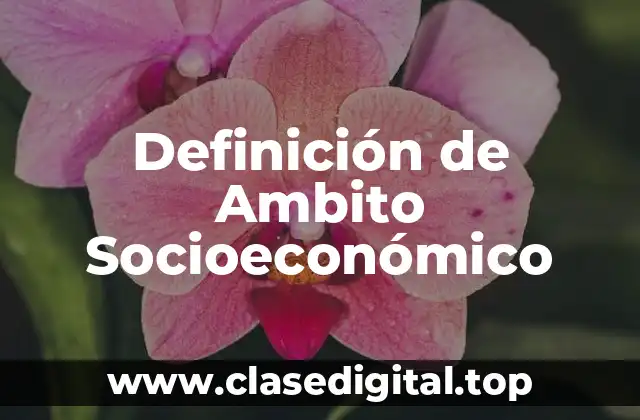 Definición técnica de Ambito Socioeconómico