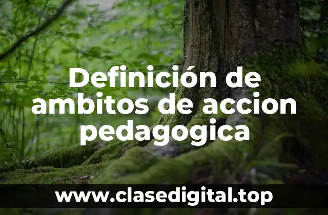 Definición de ambitos de accion pedagogica