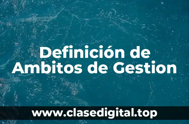 Definición de Ambitos de Gestion