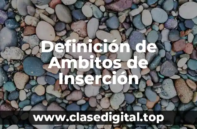 Definición de Ambitos de Inserción