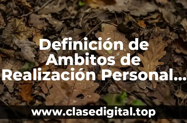 Definición Técnica de Ambitos de Realización Personal de los Adolescentes