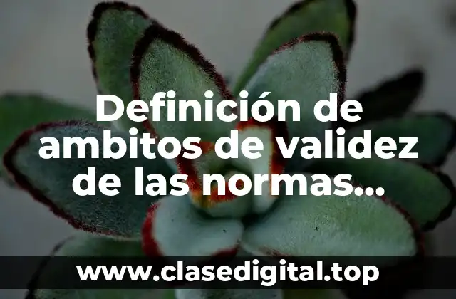 Definición de ambitos de validez de las normas jurídicas