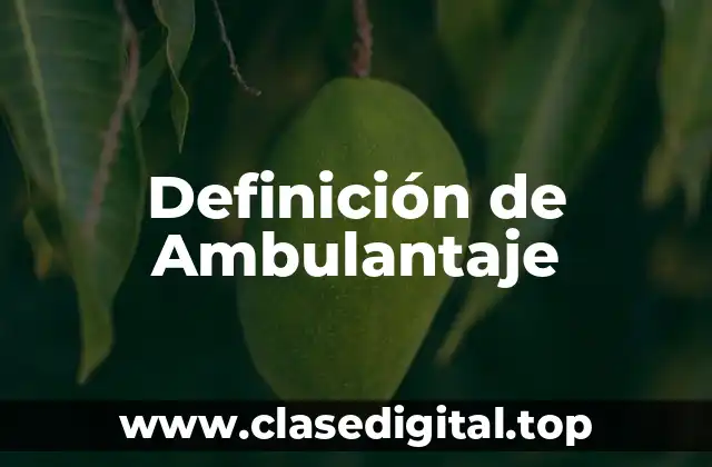 Definición de Ambulantaje