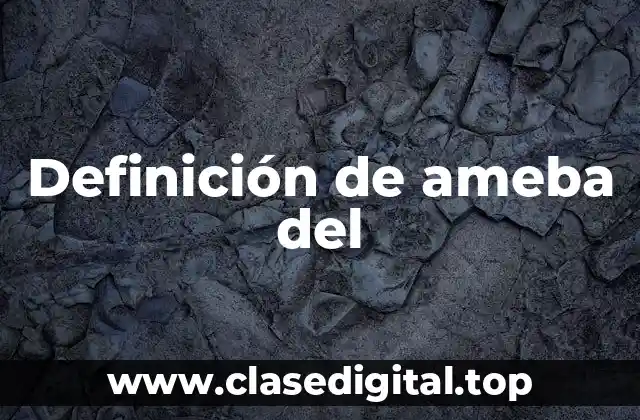 Definición de ameba del