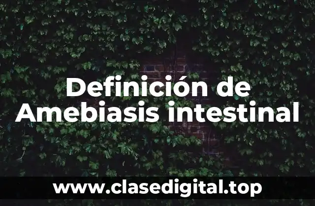 Definición de Amebiasis intestinal