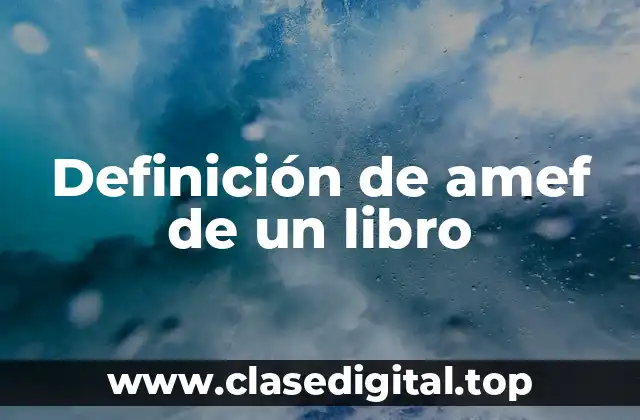 Definición de amef de un libro
