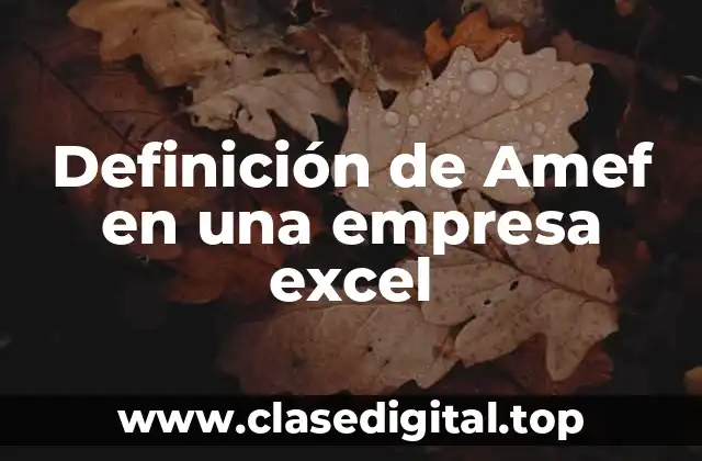 Definición de Amef en una empresa excel