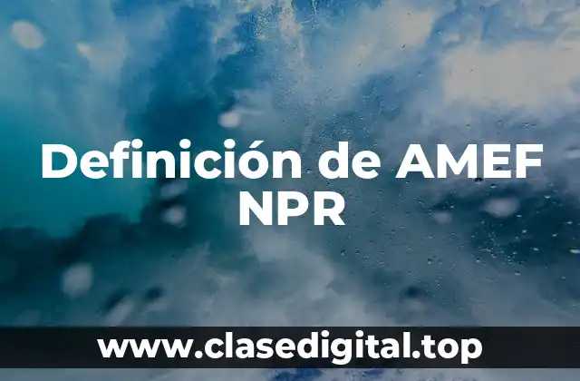 Definición de AMEF NPR
