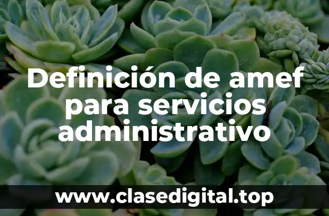 Definición de amef para servicios administrativo