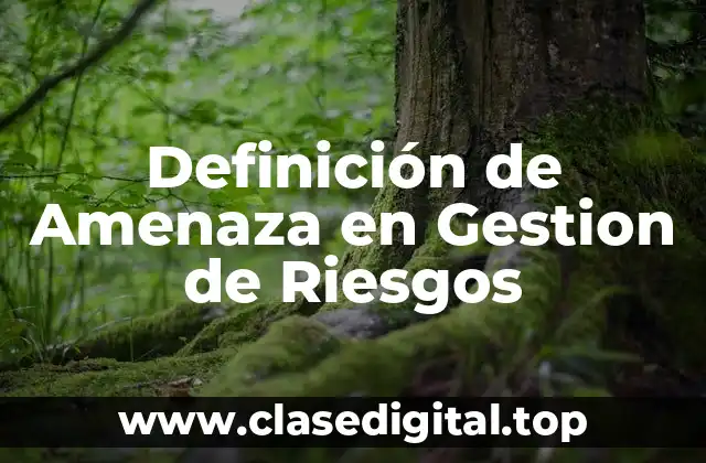 Definición de Amenaza en Gestion de Riesgos