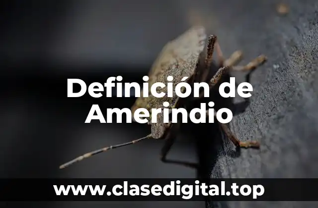 Definición de Amerindio