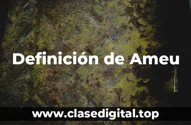 Definición de Ameu