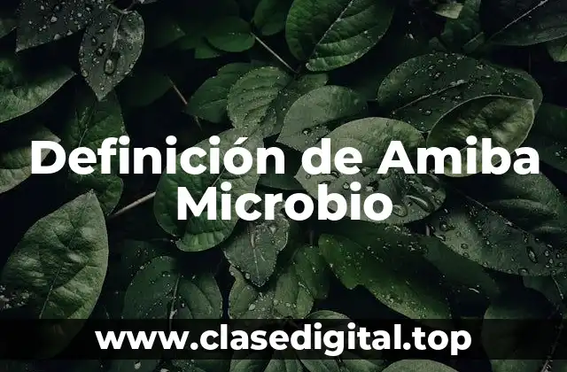 Definición de Amiba Microbio