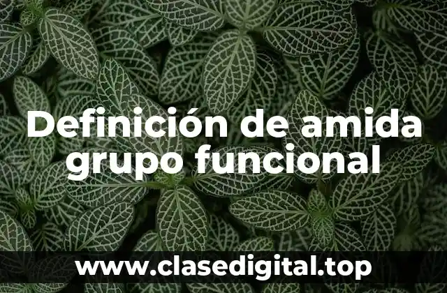 Definición de amida grupo funcional