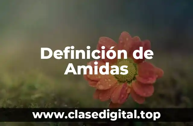 Definición de Amidas
