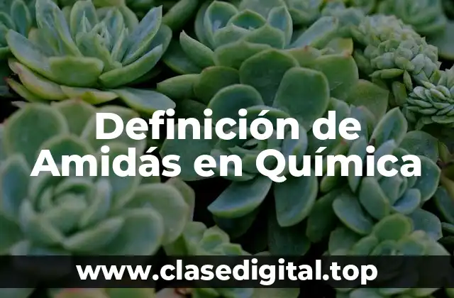 Definición de Amidás en Química
