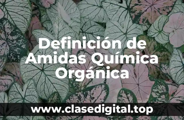 Definición de Amidas Química Orgánica